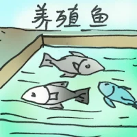 Farmed Fish (2962) illustration