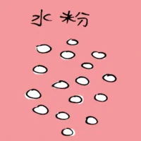 Face Powder (3054) illustration