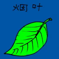 Tobacco (3135) illustration