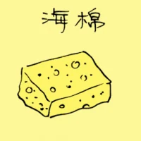 Sponge (3257) illustration