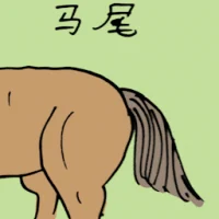 Horse Tail (3355) illustration