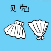 贝壳 (3446) illustration