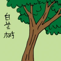 Tree (3472) illustration