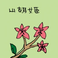 Wild Orchid (3474) illustration