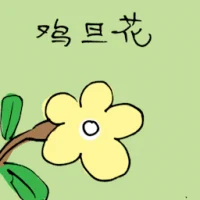 Plumeria Flower (3479) illustration