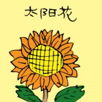 Sunflower (3480) illustration