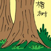 Fig Tree (3482) illustration