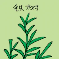 Monkey Flower (3484) illustration