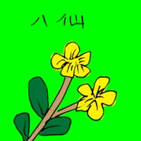 Hydrangea Flower (3486) illustration