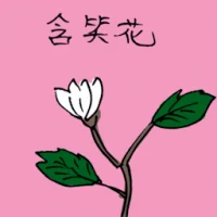Banana Shrub (3492) illustration