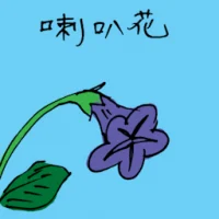 Ipomoea Nil (3493) illustration