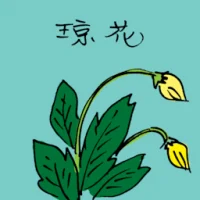 Rare Flower (3494) illustration