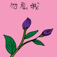 Forget Me Not (3496) illustration