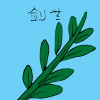 Gladiolus (3500) illustration