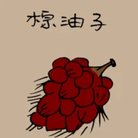 Palm Oil Seeds (3502) illustration