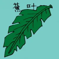 Banana Leaf (3503) illustration