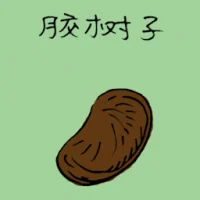 Rubber Tree Seeds (3507) illustration