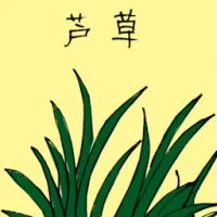 Reed (3510) illustration