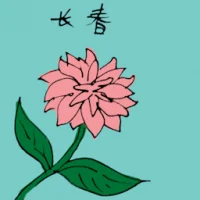 Periwinkle (3511) illustration