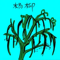 Willow Tree (3513) illustration