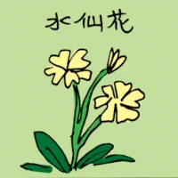 Yellow Narcissus Flower (3515) illustration