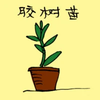 Young Rubber Tree (3516) illustration