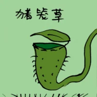 Nepenthes Plant (3518) illustration