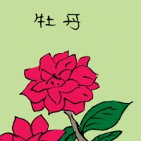 Peony (3519) illustration