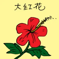 Hibiscus (3523) illustration