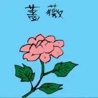 Pink Rose (3530) illustration