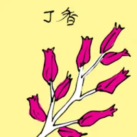 Clove (3531) illustration
