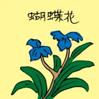 Iris (3534) illustration