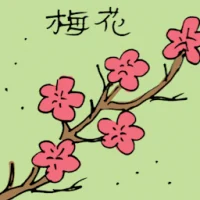 Plum Blossom (3535) illustration