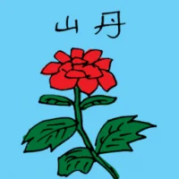 Wild Lily (3536) illustration