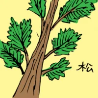 松 (3537) illustration