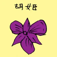 Orchid (3540) illustration