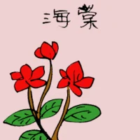 Begonia Flower (3542) illustration