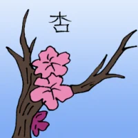 Apricot (3543) illustration
