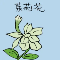 Jasmine (3546) illustration