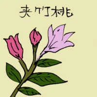 Nerium (3548) illustration