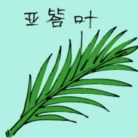 Atap Leaf (3549) illustration
