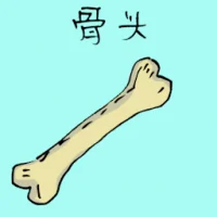 Bone (3557) illustration