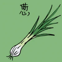 Scallion (3559) illustration