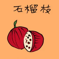 Pomegranate (3562) illustration