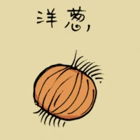 Onion (3564) illustration