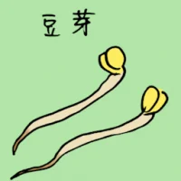 Beansprouts (3565) illustration