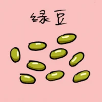 Green Bean (3567) illustration