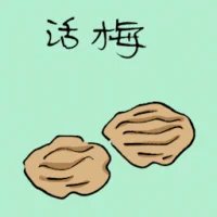 Sour Plum (3581) illustration