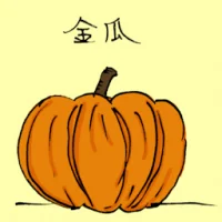 Pumpkin (3588) illustration