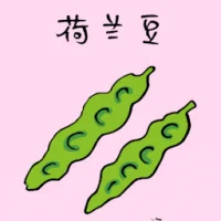 Snow Pea (3599) illustration